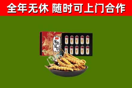 澎湖回收冬虫夏草价格